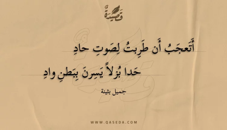 قصيدة أتعجب أن طربت لصوت حاد
