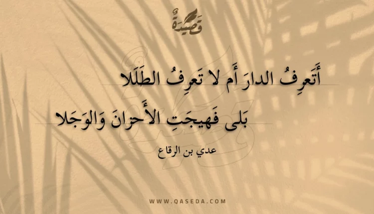 قصيدة أتعرف الدار أم لا تعرف الطللا