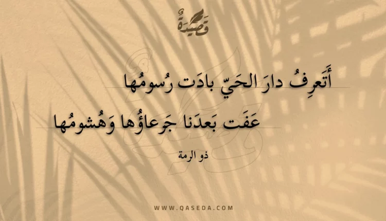 قصيدة أتعرف دار الحي بادت رسومها