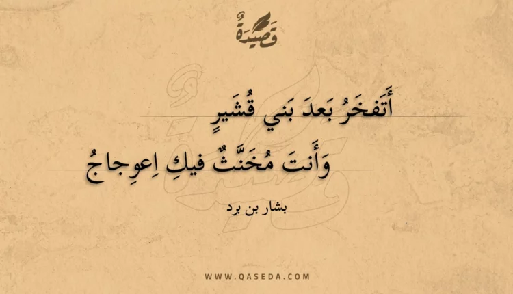 قصيدة أتفخر بعد بني قشير