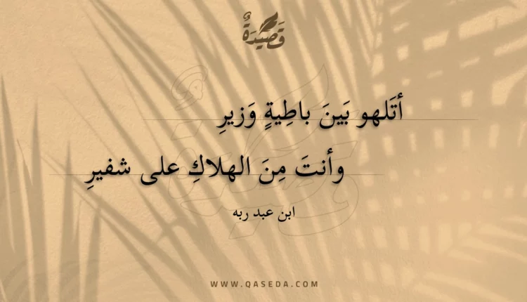 قصيدة أتلهو بين باطية وزير