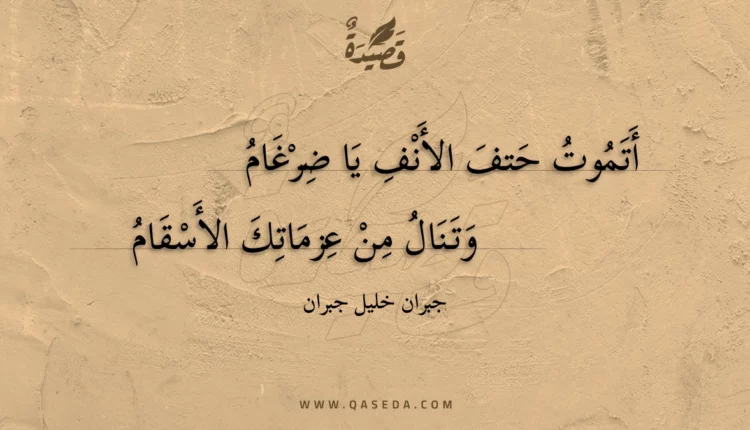 قصيدة أتموت حتف الأنف يا ضرغام