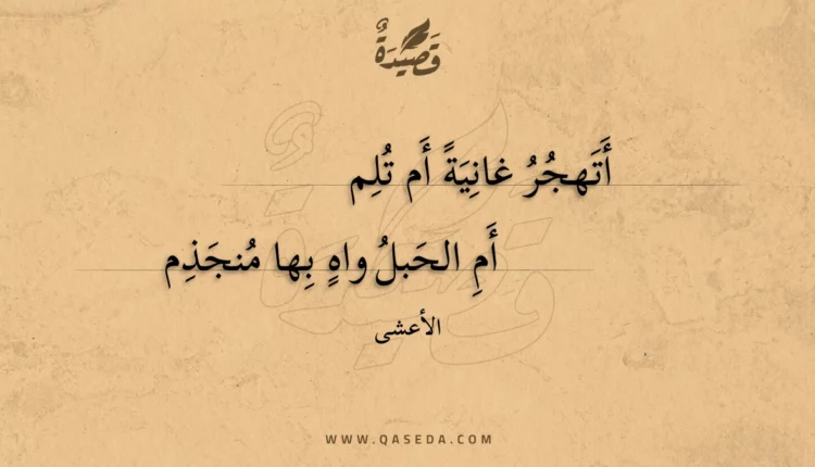 قصيدة أتهجر غانية أم تلم