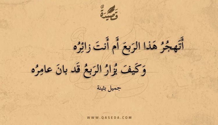 قصيدة أتهجر هذا الربع أم أنت زائره