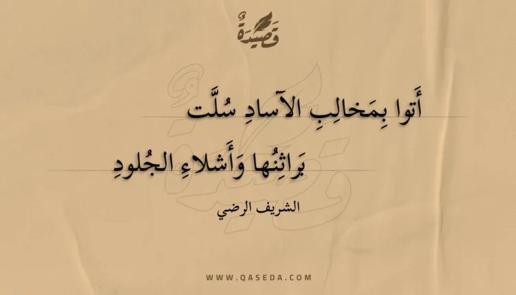 قصيدة أتوا بمخالب الآساد سلت