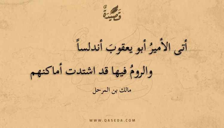 قصيدة أتى الأمير أبو يعقوب أندلسا