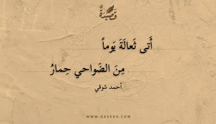 قصيدة أتى ثعالة يوماً