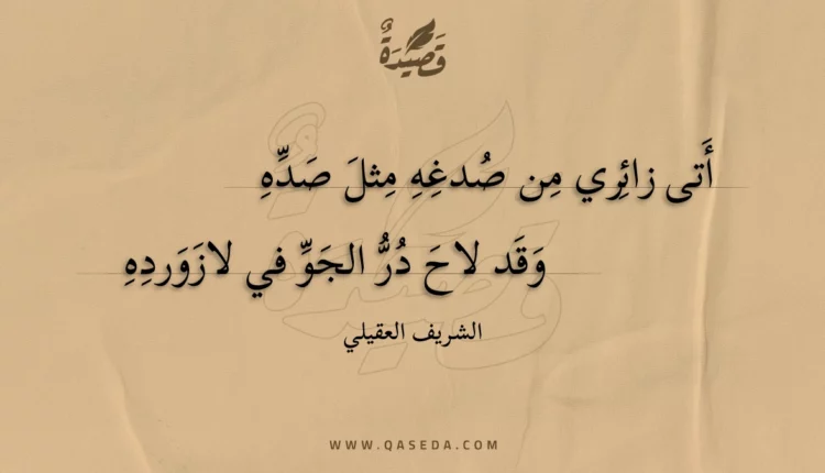 قصيدة أتى زائري من صدغه مثل صده
