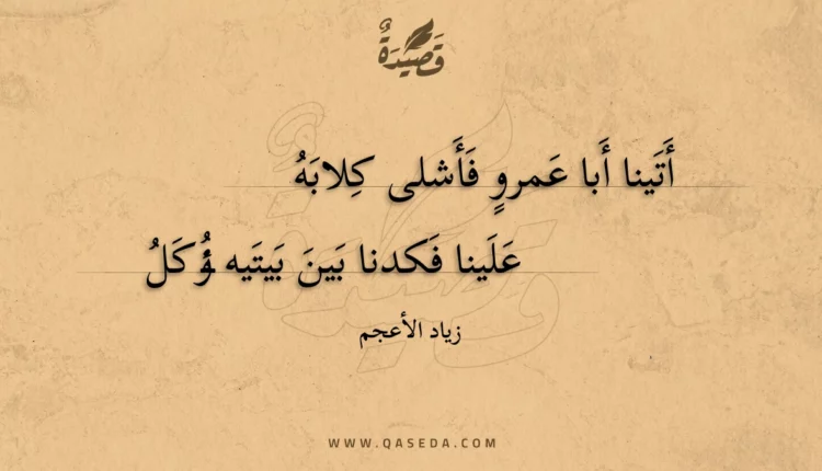 قصيدة أتينا أبا عمرو فأشلى كلابه