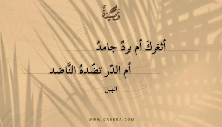 قصيدة أثغرك أم برد جامد