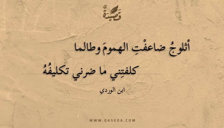 قصيدة أثلوج ضاعفت الهموم وطالما