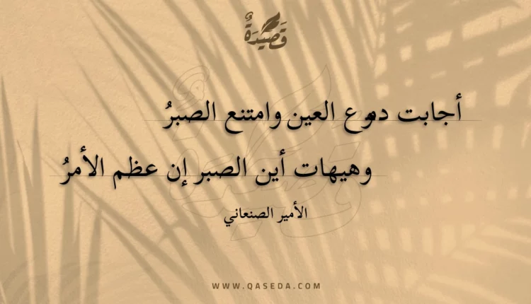 قصيدة أجابت دموع العين وامتنع الصبر