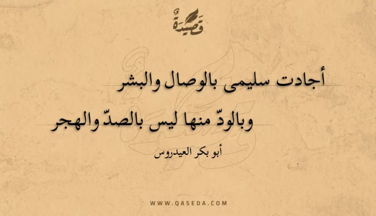 قصيدة أجادت سليمى بالوصال والبشر