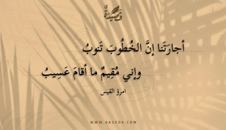 قصيدة أجارتنا إن الخطوب تنوب