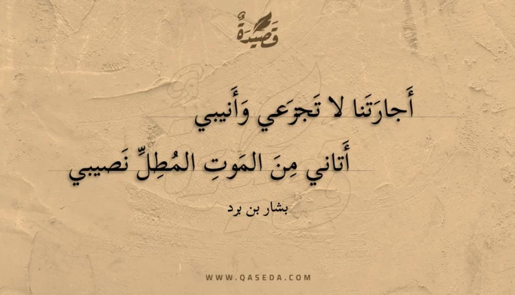 قصيدة أجارتنا لا تجزعي وأنيبي