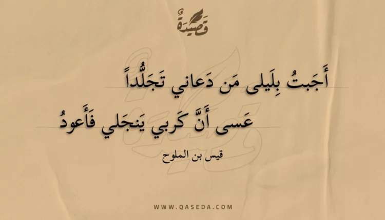قصيدة أجبت بليلى من دعاني تجلدا