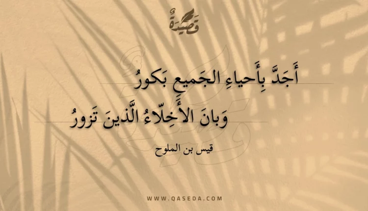 قصيدة أجد بأحياء الجميع بكور