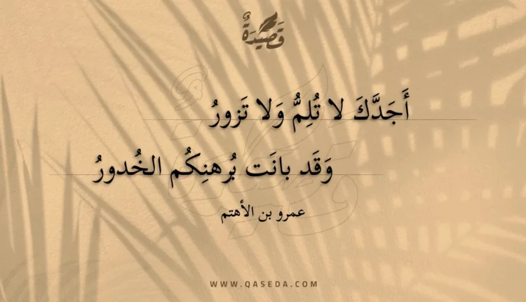 قصيدة أجدك لا تلم ولا تزور