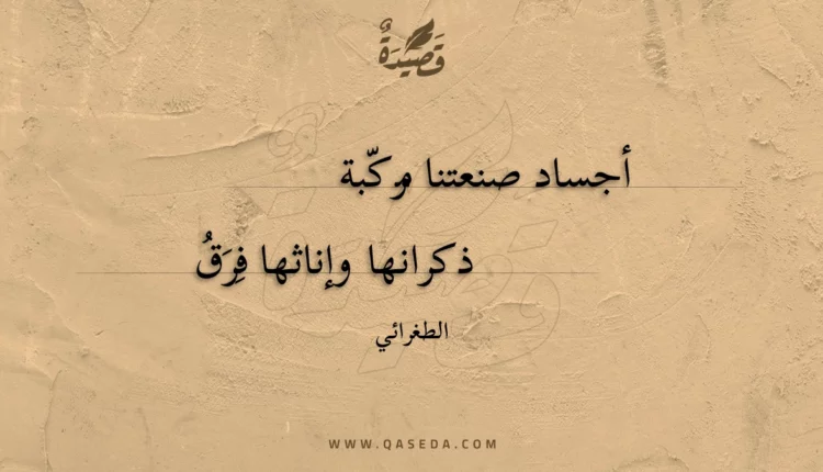 قصيدة أجساد صنعتنا مركبة