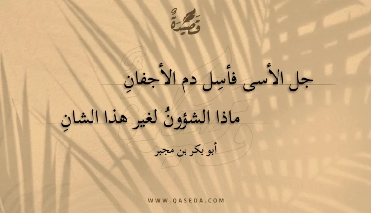 قصيدة أجل الأسى فأسل دم الأجفان