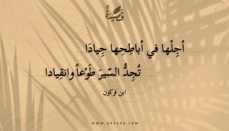 قصيدة أجلها في أباطحها جيادا