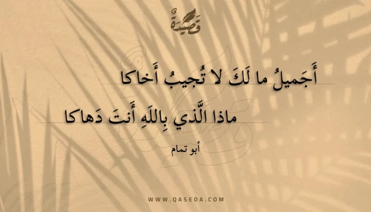 قصيدة أجميل ما لك لا تجيب أخاكا