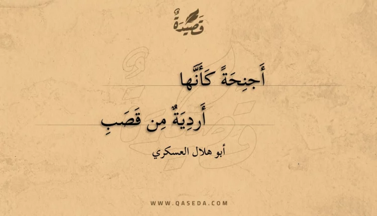 قصيدة أجنحة كأنها