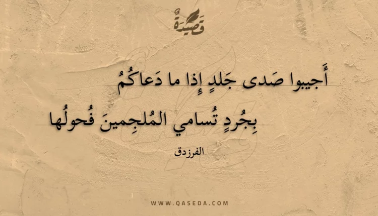 قصيدة أجيبوا صدى جلد إذا ما دعاكم