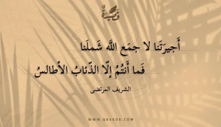 قصيدة أجيرتنا لا جمع الله شملنا
