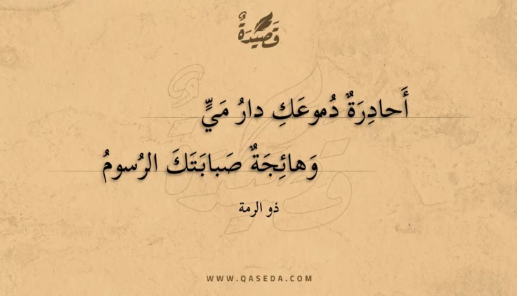 قصيدة أحادرة دموعك دار مي