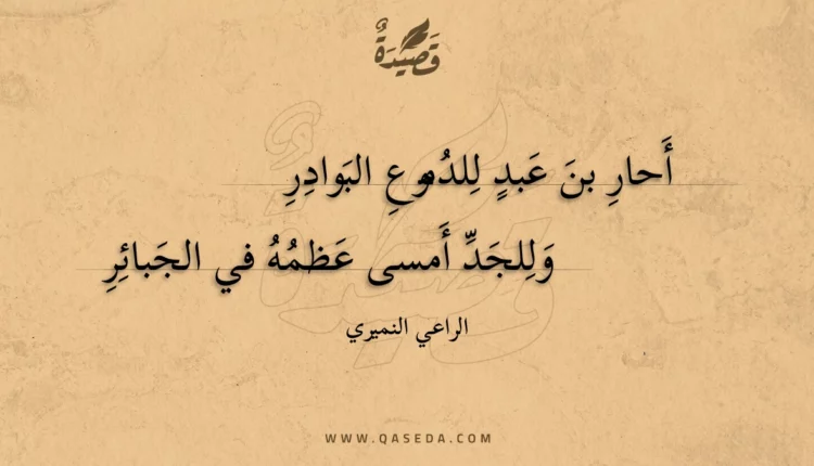قصيدة أحار بن عبد للدموع البوادر