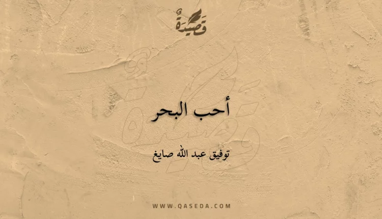 قصيدة أحب البحر