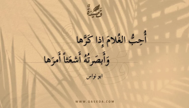 قصيدة أحب الغلام إذا كرها