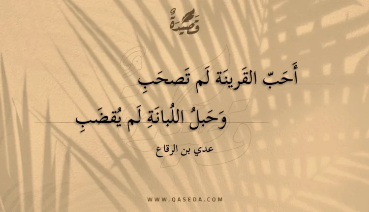 قصيدة أحب القرينة لم تصحب
