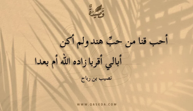 قصيدة أحب قنا من حب هند ولم أكن