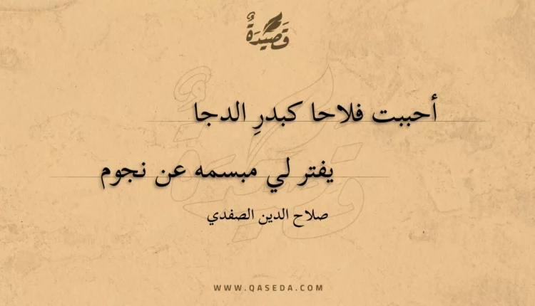 قصيدة أحببت فلاحا كبدر الدجا