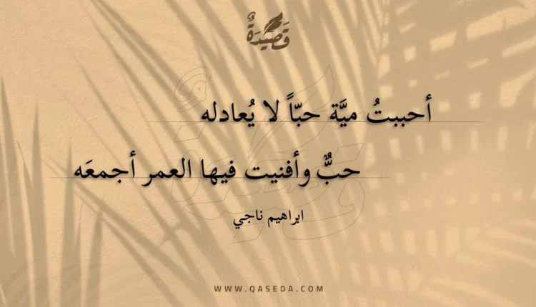 قصيدة أحببت مية حبا لا يعادله