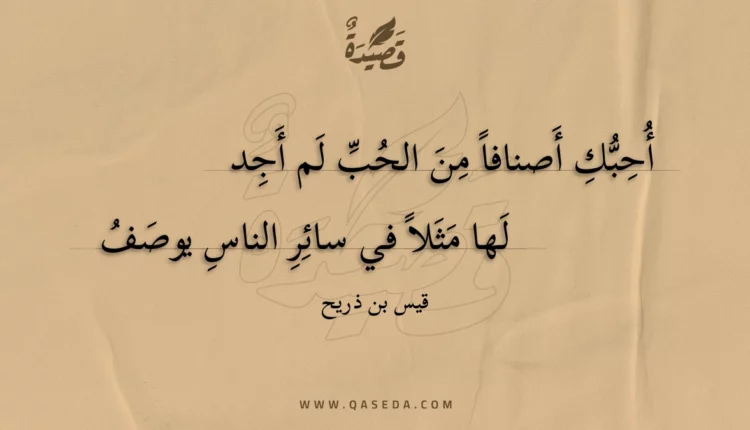 قصيدة أحبك أصنافا من الحب لم أجد