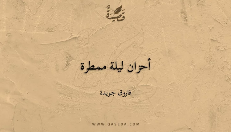 قصيدة أحزان ليلة ممطرة
