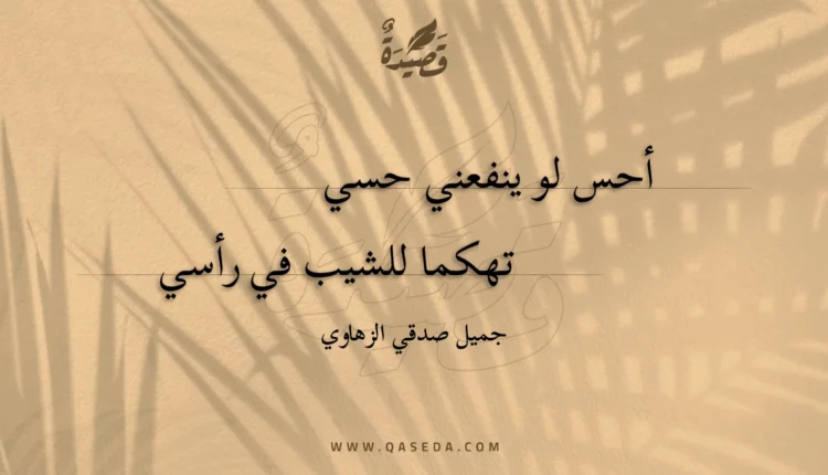 قصيدة أحس لو ينفعني حسي