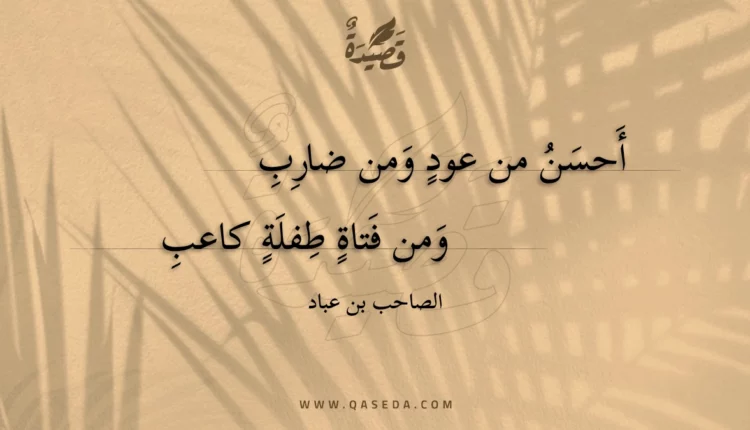 قصيدة أحسن من عود ومن ضارب