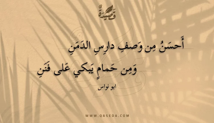 قصيدة أحسن من وصف دارس الدمن
