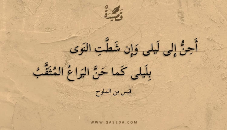 قصيدة أحن إلى ليلى وإن شطت النوى