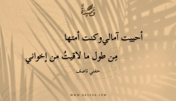 قصيدة أحييت آمالي وكنت أمتها