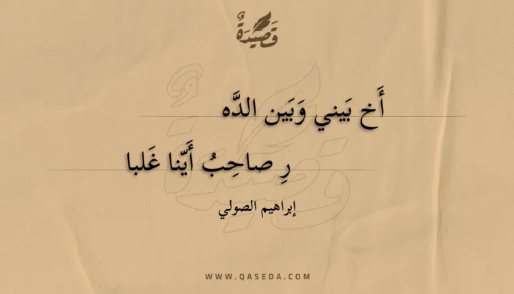 قصيدة أخ بيني وبين الدهر