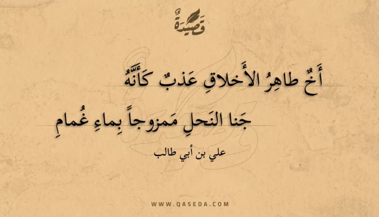 قصيدة أخ طاهر الأخلاق عذب كأنه