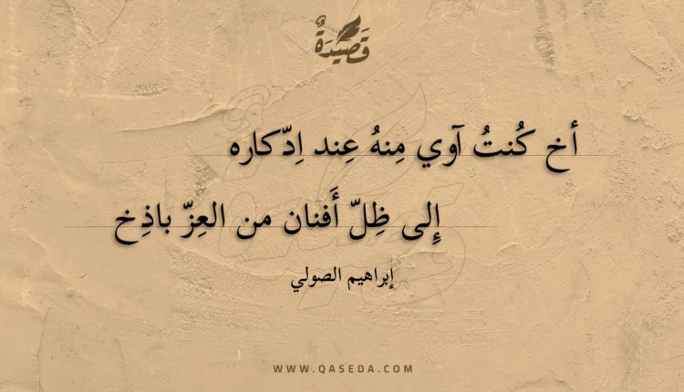 قصيدة أخ كنت آوي منه عند ادكاره