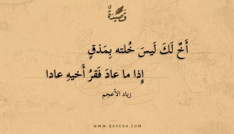 قصيدة أخ لك ليس خلته بمذق