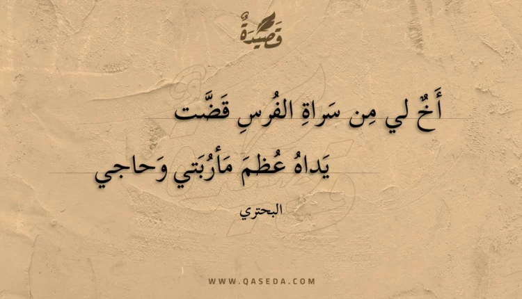 قصيدة أخ لي من سراة الفرس قضت