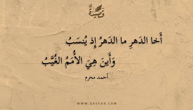 قصيدة أخا الدهر ما الدهر إذ ينسب